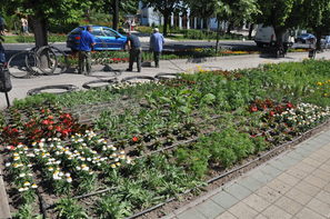 Nyárias színpompával, a meleget idéző piros és sárga színû virágokkal díszlik a Városháza tér.